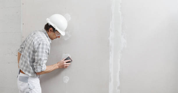 Best Interior Painting  in Hainesvle, IL