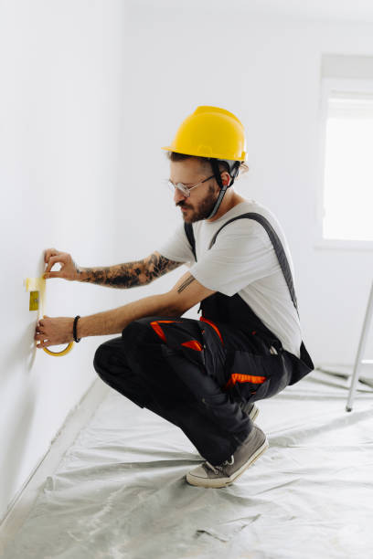 Best Drywall Installation  in Hainesvle, IL